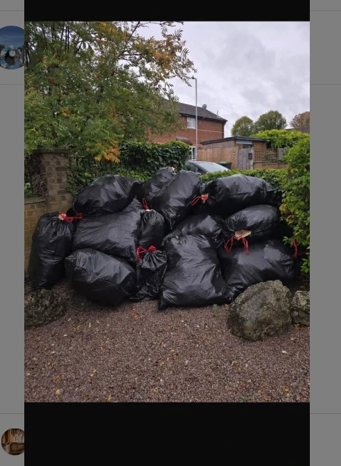 Before garden rubbish removal by Cornwall Waste Clearance